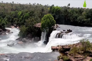 jalapão cachoeira da velha